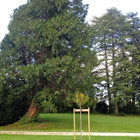 Chateau De Lestaubiere Bed & Breakfast Douville
