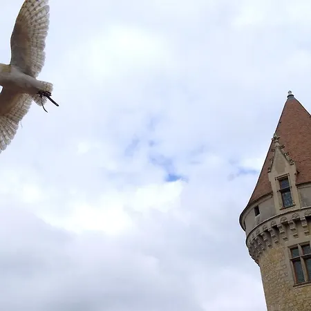 Chateau De Lestaubiere Bed & Breakfast Douville